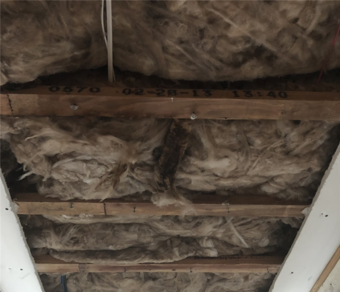 a ceiling with insulation exposed 