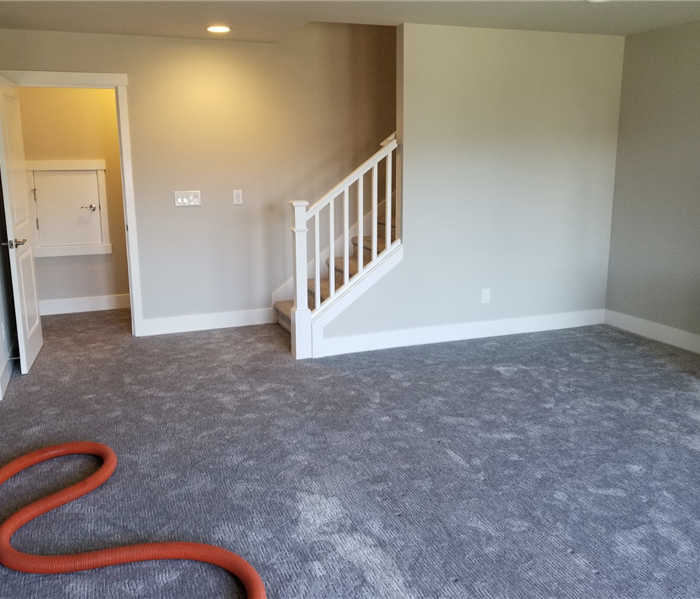 carpeting in a room near a staircase 