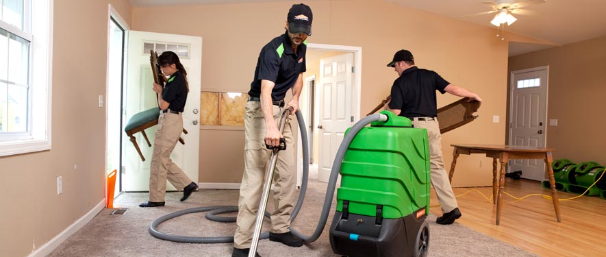 Woodinville, WA cleaning services